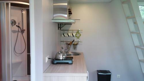 Hostal Beltes Street Guest House