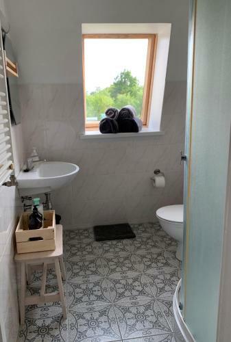 Hostal Beltes Street Guest House