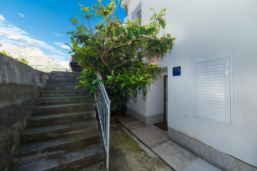Apartment Bella