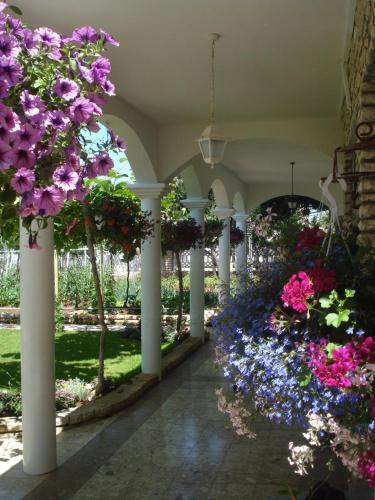 Apartment 3545-3 For 2 + 2 Pers. In Biograd Na Moru