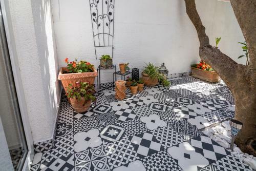 Beautiful Apartments With Balcony In Central Biograd - Bnm 2