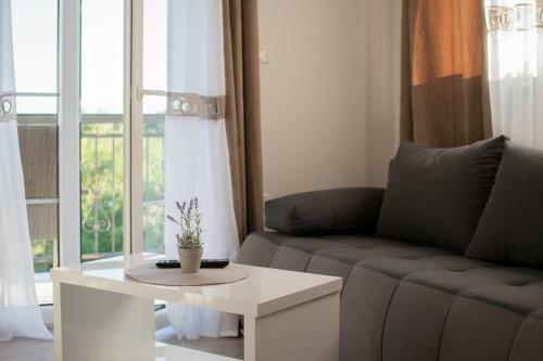 Hostal Lavanda House With Apartments