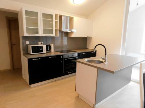 Luxury Apartment Mary