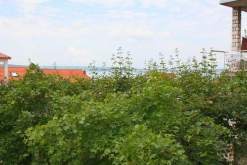 Apartamentos Svetlana