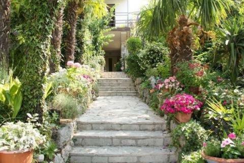 Hostal Apartments And Rooms Marijan