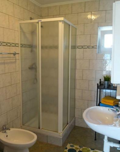 Apartment Zoran