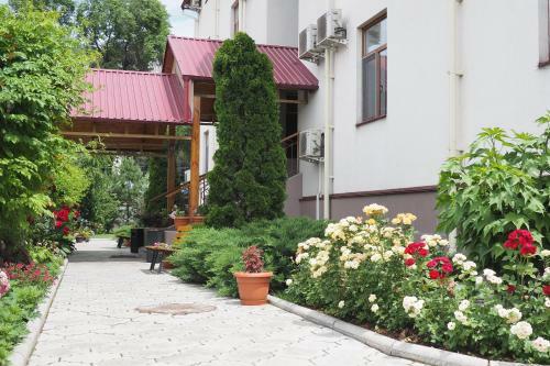 Hotel Asia Mountains 2