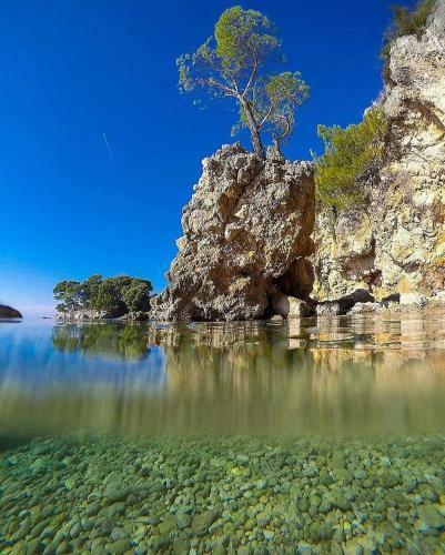 Hotel Ivando - Maslina