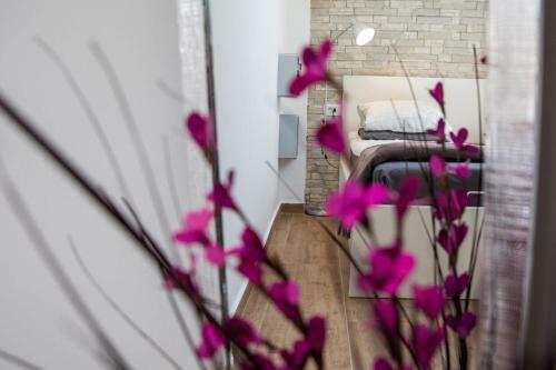 Apartment Velvet
