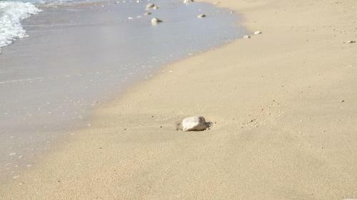 Luxury Beachfront Apartment Banje