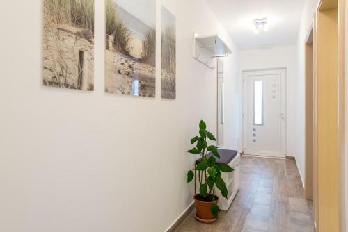 Apartment Helen Deluxe
