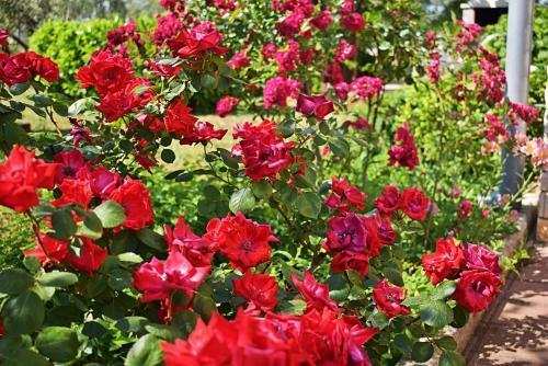 Flower Garden By M&a - Apartments