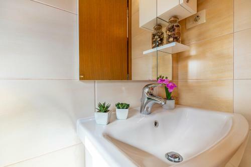 Apartman Mate
