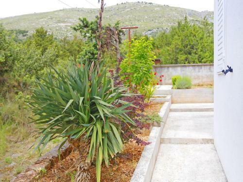 Apartments Matea - Nice Garden
