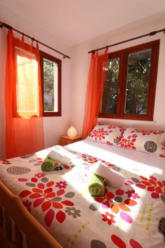 Hostal Guesthouse Novak