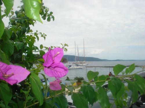 Apartments Davor - 20m From Sea