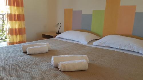 Apartment And Room Caric