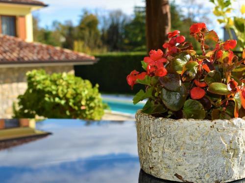 Agroturismo Villa Karla Istria With Swimming Pool