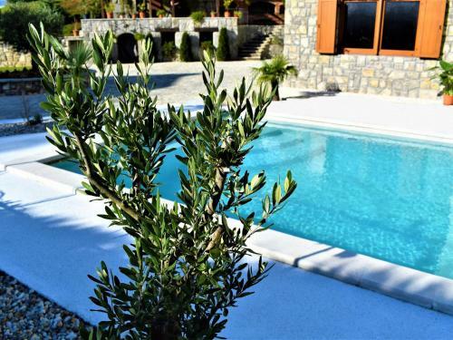 Agroturismo Villa Karla Istria With Swimming Pool