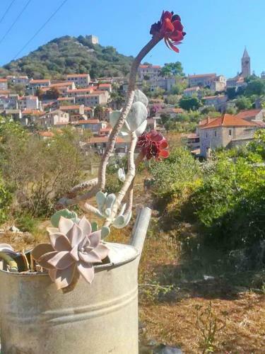 Holiday Home Lastovo