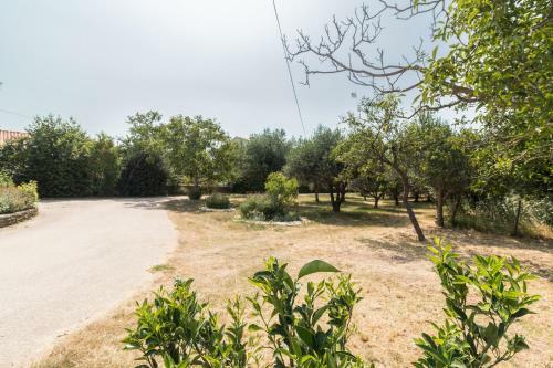 Apartments Ivica 1706