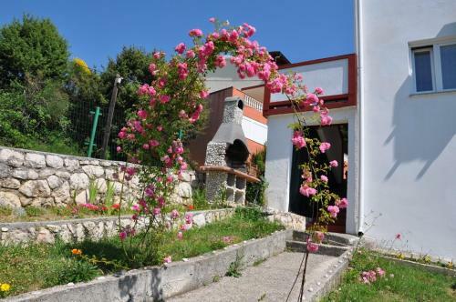Apartments Bela - Sea View
