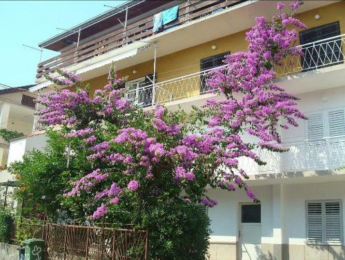 Hostal Guest House Gracijana