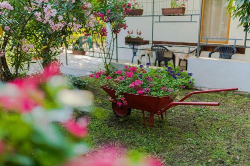 Apartment Maestral Near The Beach