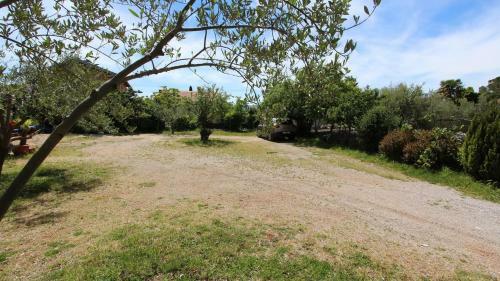Hostal Apartments And Rooms Jelka