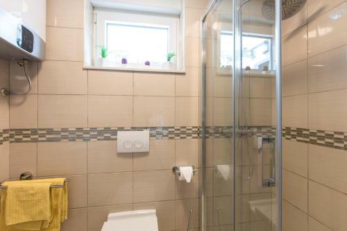 Hostal Apartments And Room Solis