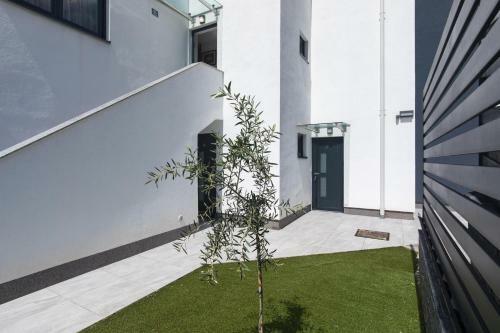 Hostal Apartments And Room Solis