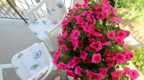 Hostal Apartments Stijak-sorum