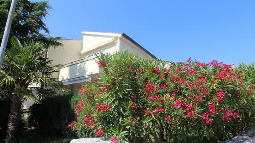 Hostal Apartments Grahovac
