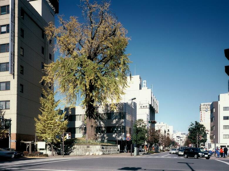 Hotel Daiwa Roynet Utsunomiya