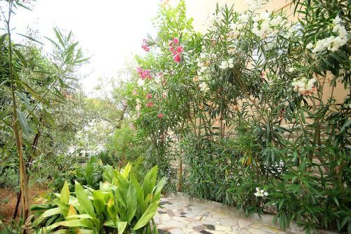 Apartments Dino - With Hot Tub