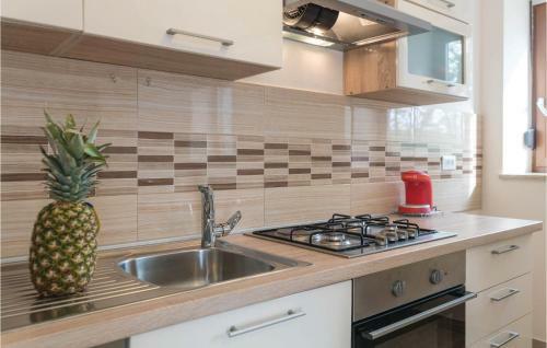 Two-bedroom Apartment In Novigrad