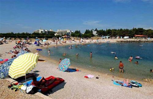Studio Apartment In Novigrad With Balcony, Air Conditioning, Wifi (4926-2)