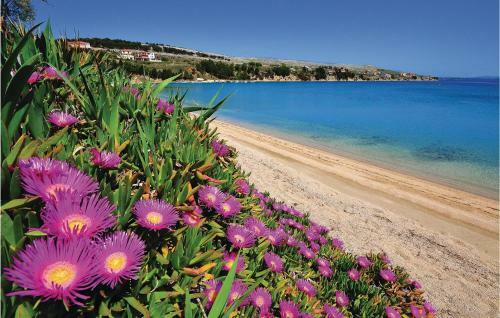 Awesome Apartment In Pag W/ Jacuzzi And 3 Bedrooms