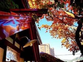 The Otarunai Backpacker's Hostel Morinoki