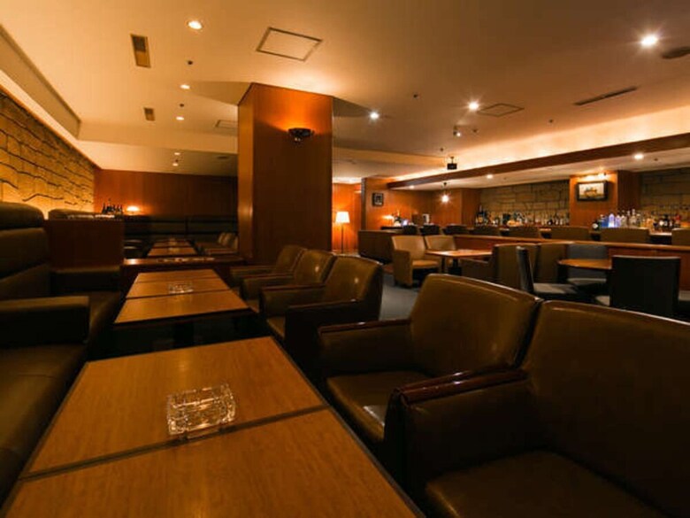 Fukuyama New Castle Hotel