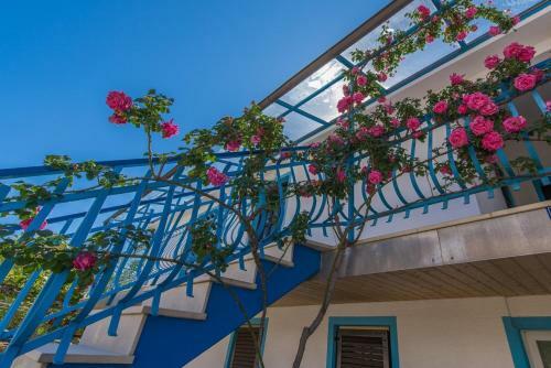 Hostal Apartments Kiki Spada