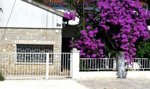 Apartamentos Art House Premantura