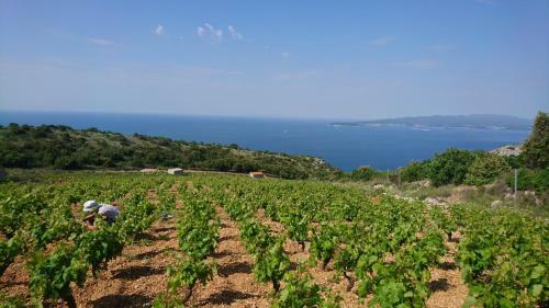 Holiday Home Stari Zoganj