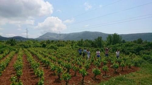 Holiday Home Stari Zoganj