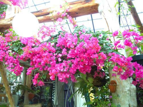 Posada J-garden