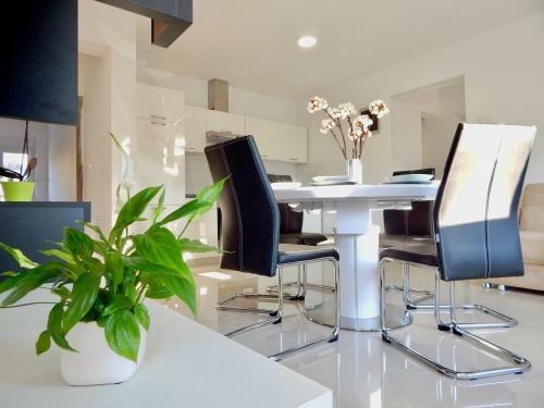 Hostal Apartments Mira