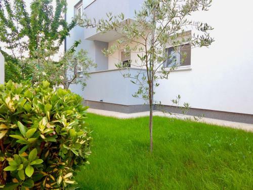 Hostal Apartments Mira
