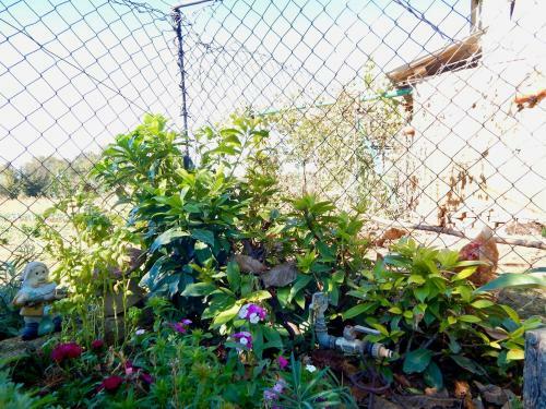 Hostal Lovley Rural Apartment With Garden