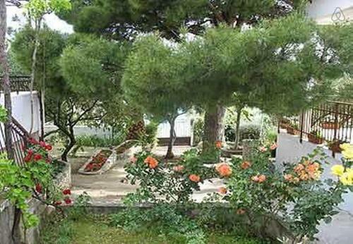 Apartments Lidi - By The Sea