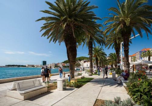 A1 - Apartment In The Very Heart Of Split